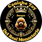 CANICHE TOY - DEL REAL MONASTERIO